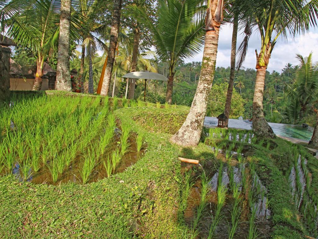 Toya Retreat Villa เตกากาลัง ภายนอก รูปภาพ